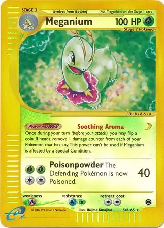 Meganium, catalogue front
