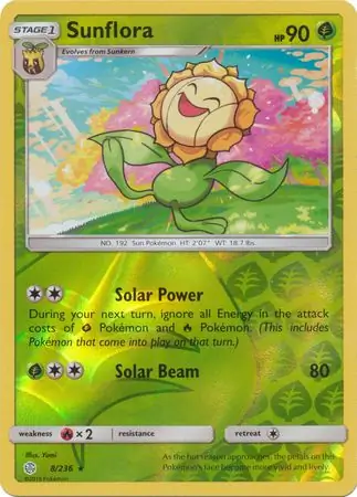 Sunflora, catalogue front