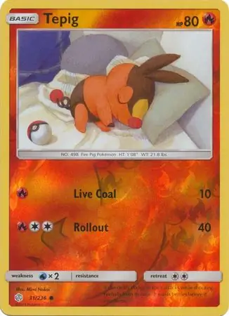 Tepig, catalogue front