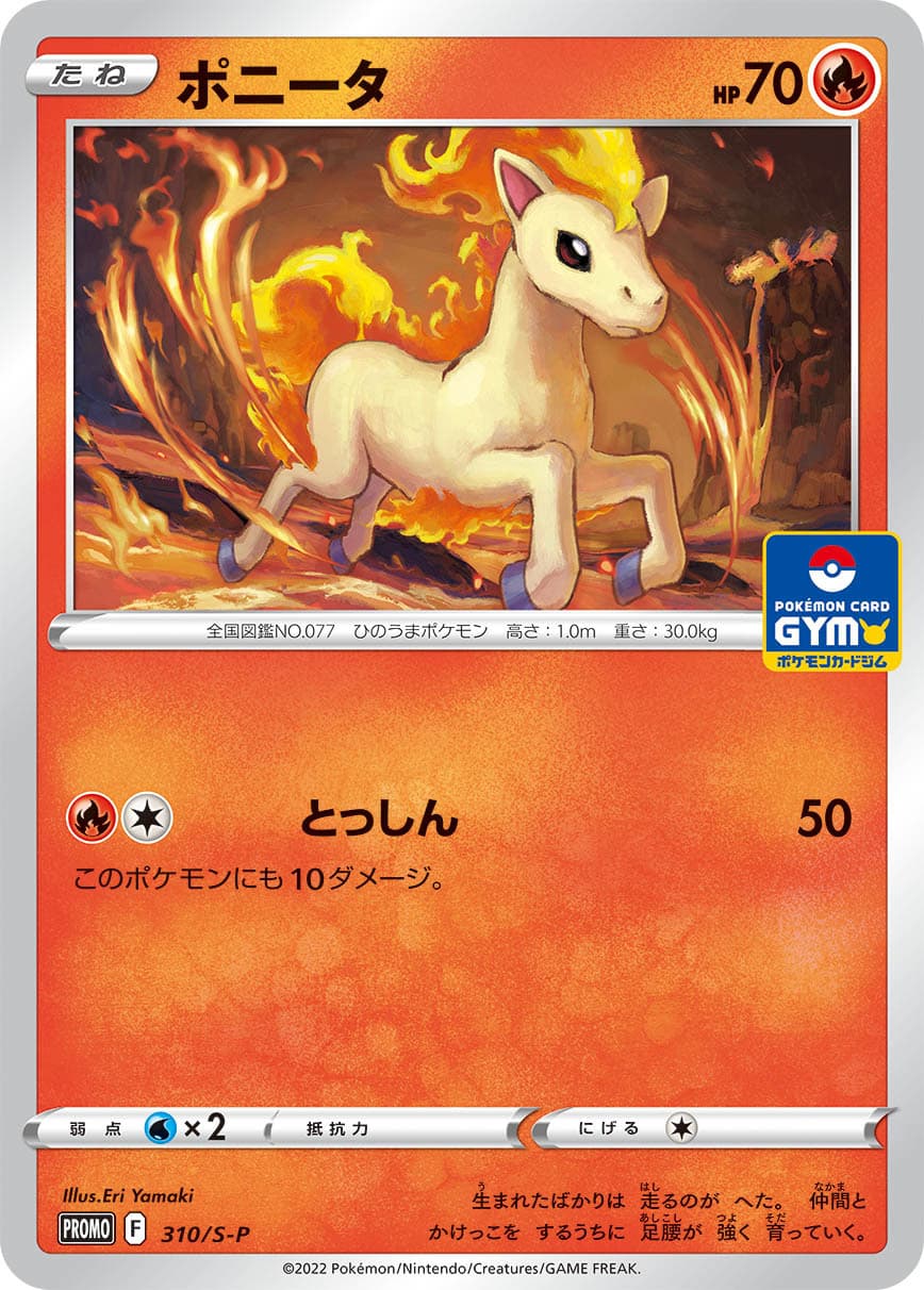 Ponyta, catalogue front