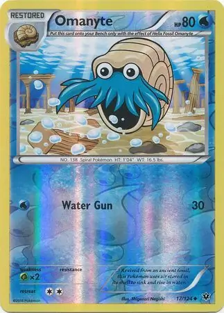 Omanyte, catalogue front