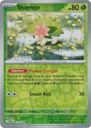 Shaymin, catalogue front