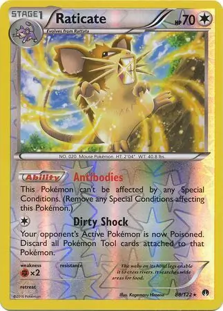 Raticate, catalogue front