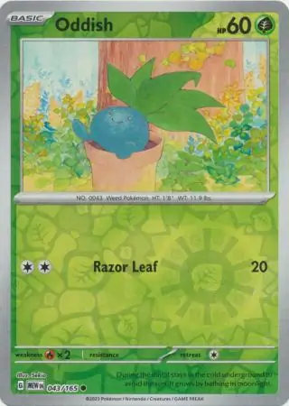 Oddish, catalogue front