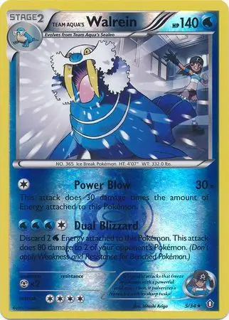 Team Aqua's Walrein, catalogue front