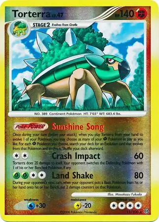 Torterra, catalogue front