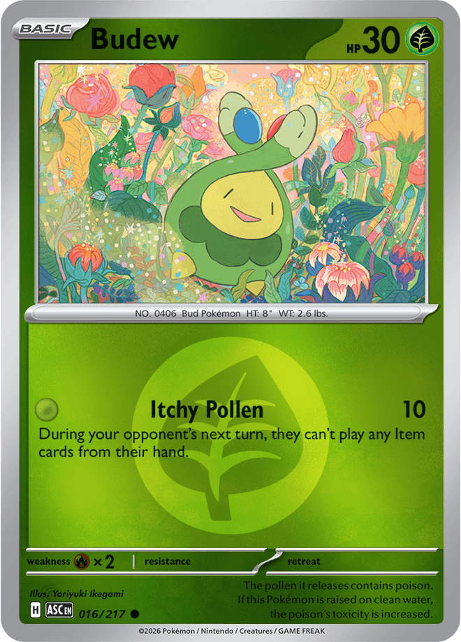 Budew, catalogue front