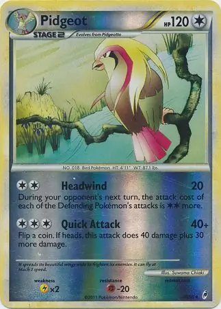 Pidgeot, catalogue front