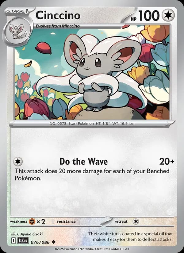 Cinccino, catalogue front