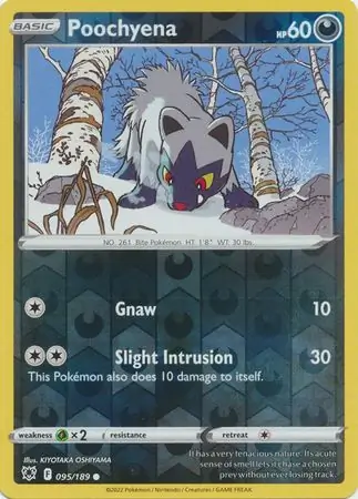 Poochyena, catalogue front
