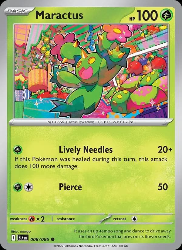 Maractus, catalogue front