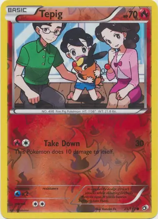 Tepig, catalogue front