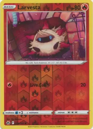 Larvesta, catalogue front