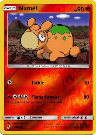 Numel, catalogue front
