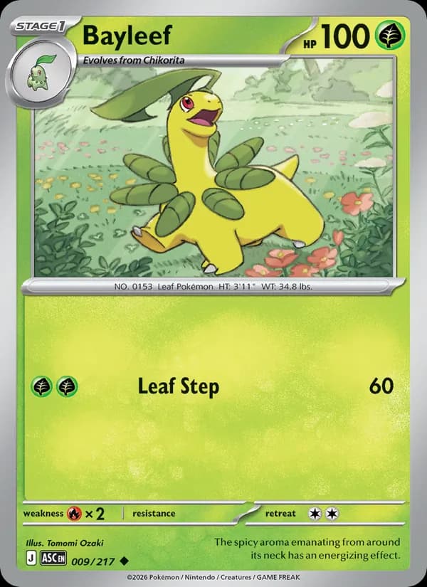 Bayleef, catalogue front