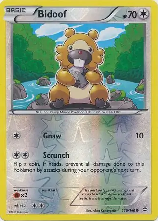 Bidoof, catalogue front