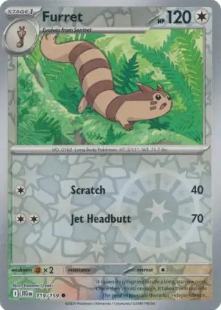 Furret, catalogue front