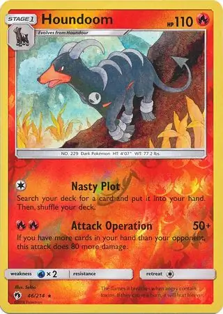 Houndoom, catalogue front