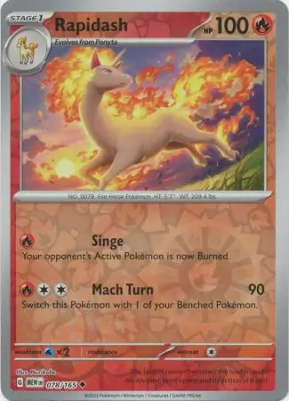 Rapidash, catalogue front