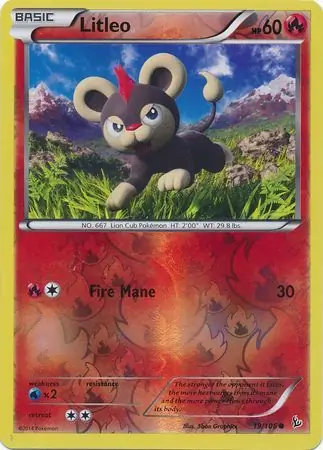 Litleo, catalogue front