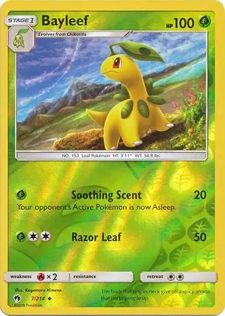 Bayleef, catalogue front