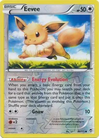 Eevee, catalogue front