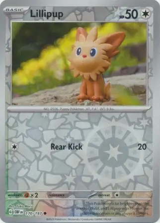 Lillipup, catalogue front