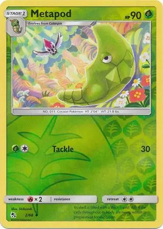 Metapod, catalogue front