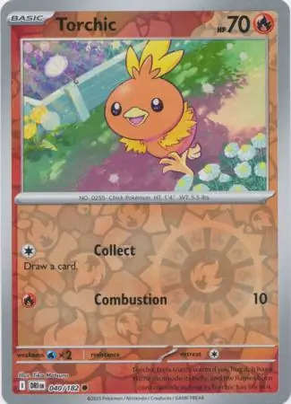 Torchic, catalogue front