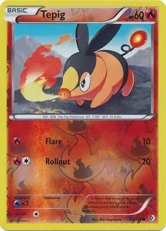 Tepig, catalogue front
