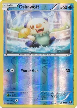 Oshawott, catalogue front
