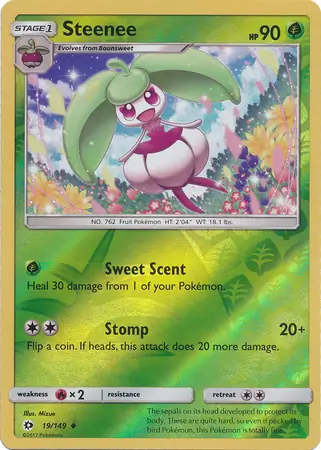 Steenee, catalogue front