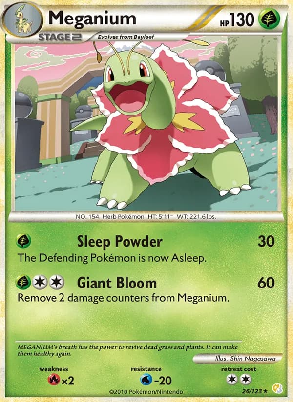 Meganium, catalogue front