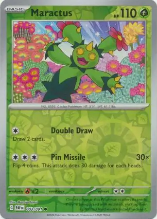Maractus, catalogue front