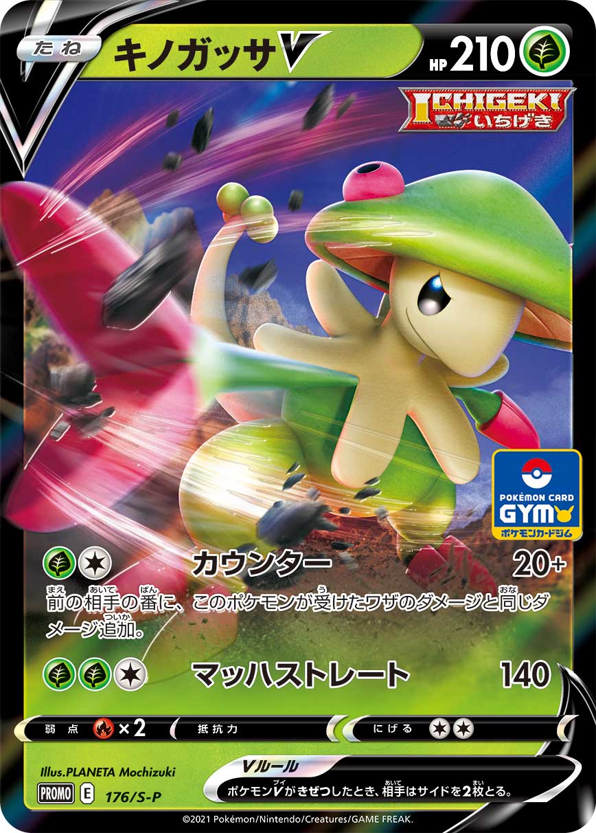 Breloom V, catalogue front