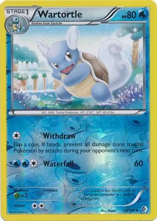 Wartortle, catalogue front