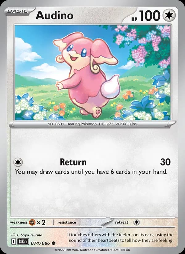 Audino, catalogue front