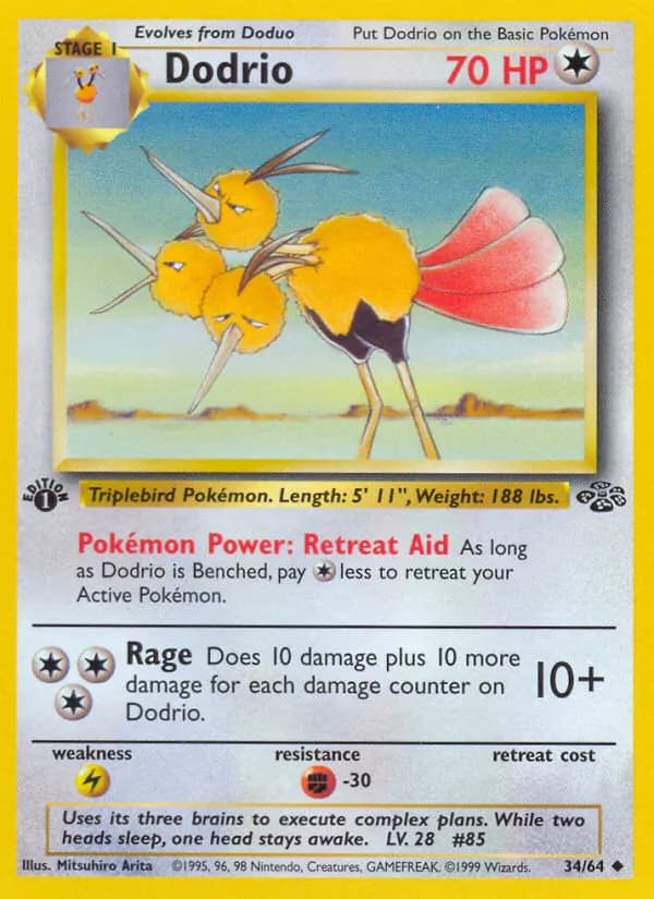 Dodrio, catalogue front