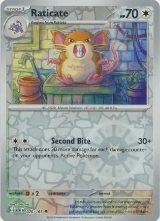Raticate, catalogue front