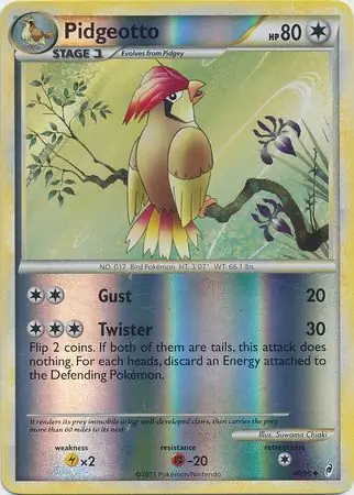 Pidgeotto, catalogue front