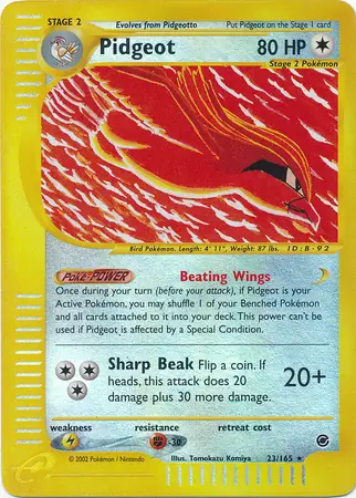 Pidgeot, catalogue front