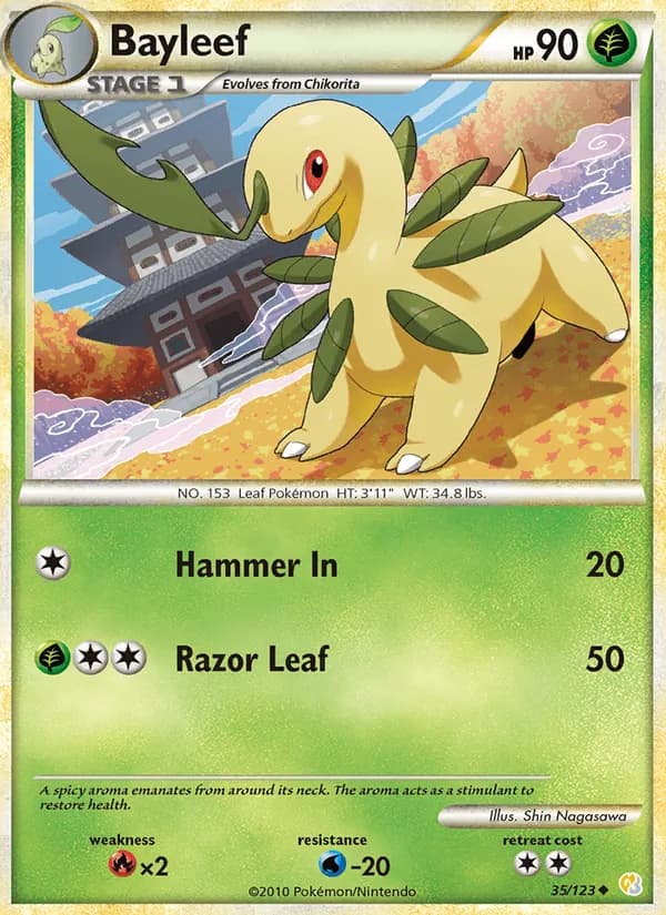 Bayleef, catalogue front