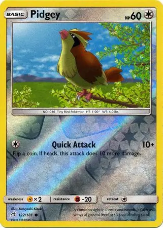 Pidgey, catalogue front