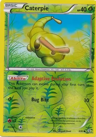 Caterpie, catalogue front