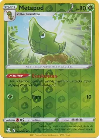 Metapod, catalogue front