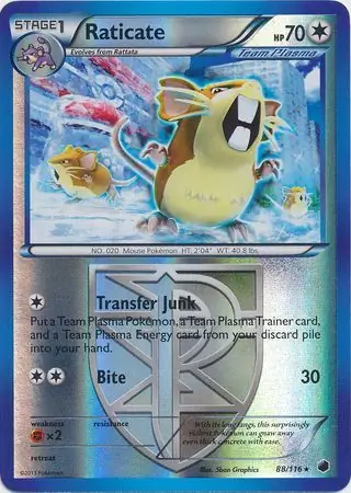 Raticate, catalogue front