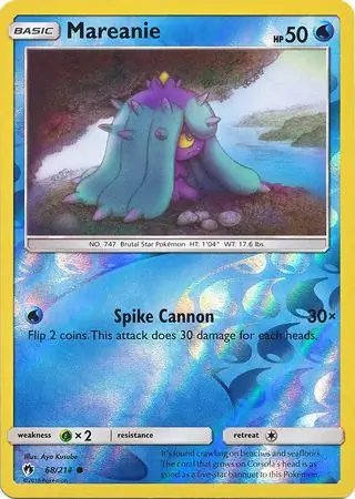 Mareanie, catalogue front