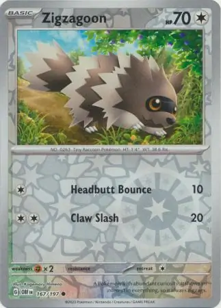 Zigzagoon, catalogue front