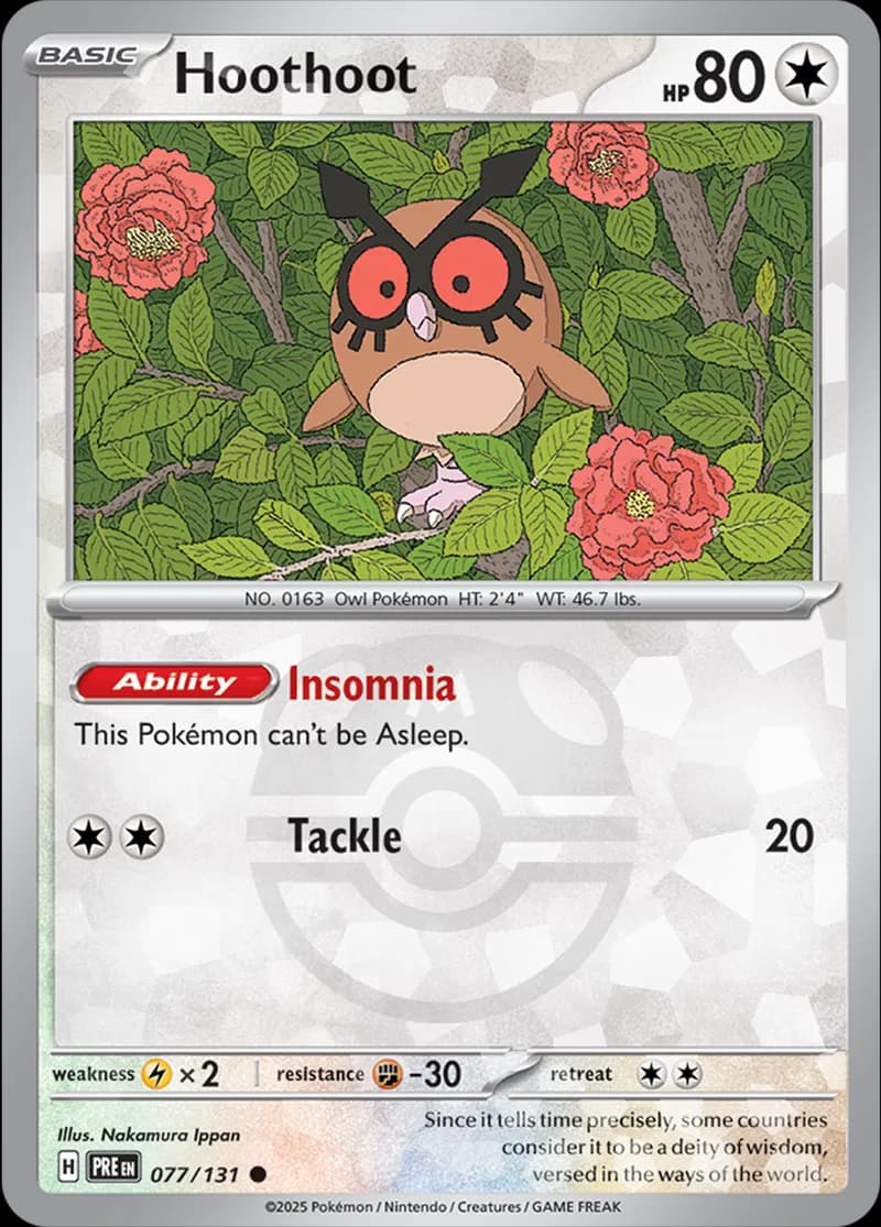 Hoothoot, catalogue front