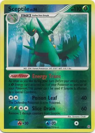 Sceptile, catalogue front